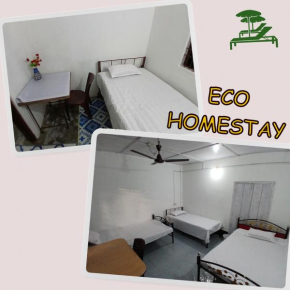 Eco Homestay